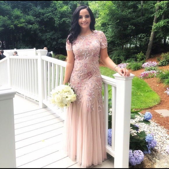 Adrianna Papell Dresses & Skirts - Adrianna Papell Blush Gown